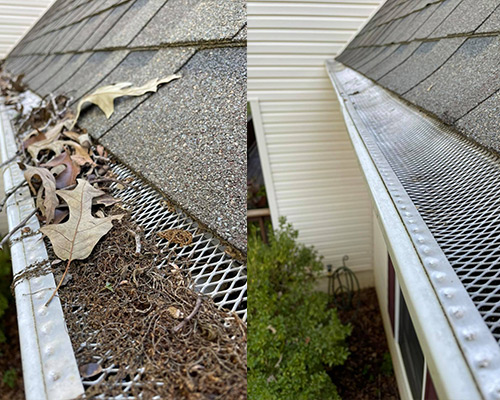Gutter Cleaning