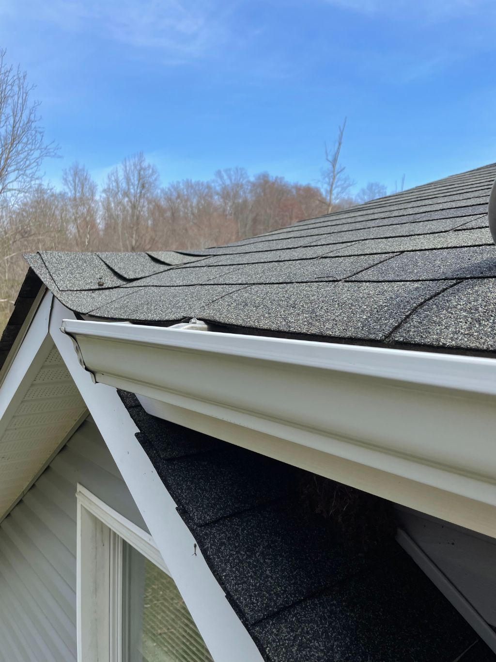 Gutter brightening roseland va 002 min