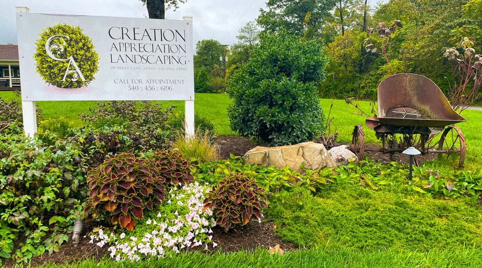Creation appreciation landscaping