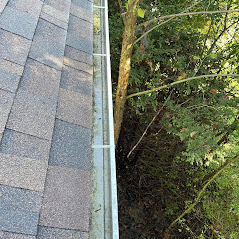 Gutter cleaning stanardsville va