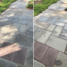 Professional Concrete Cleaning & Pressure Washing in Charlottesville