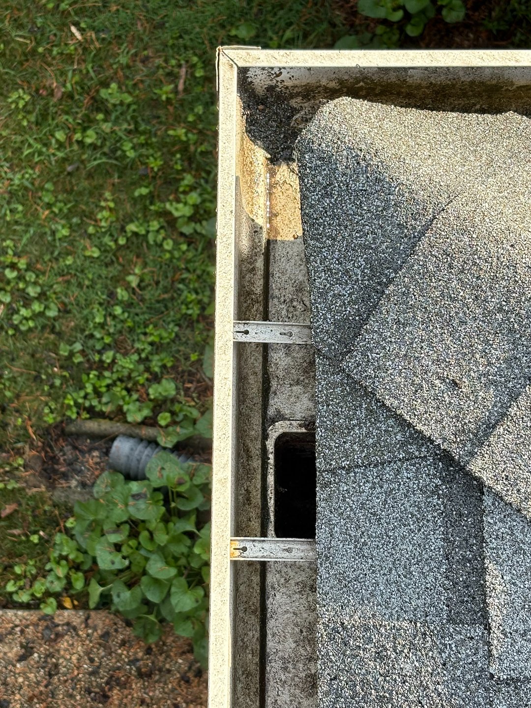 Professional Gutter Cleaning in Charlottesville, VA