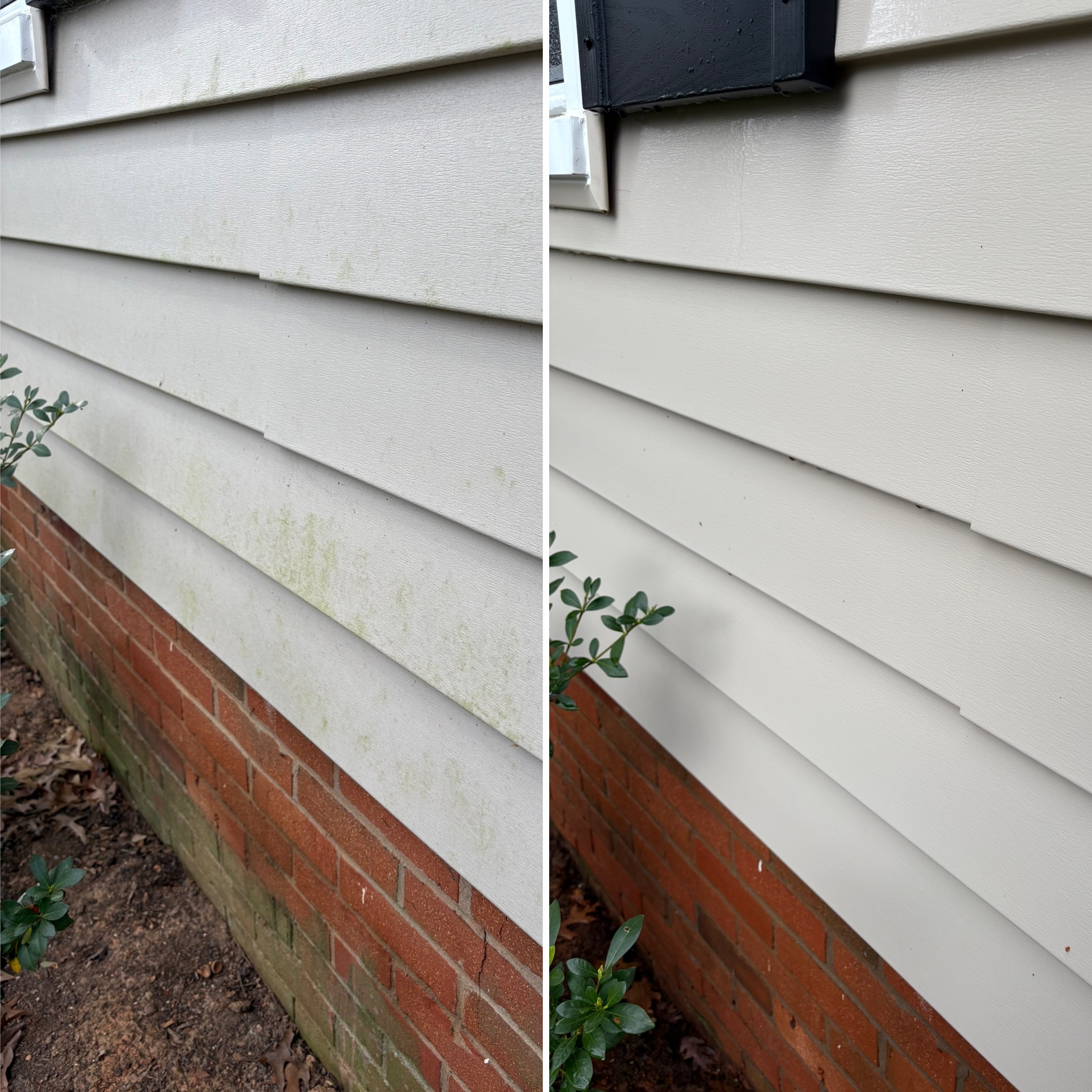 Professional House Washing and Pressure Washing Services in Charlottesville, VA