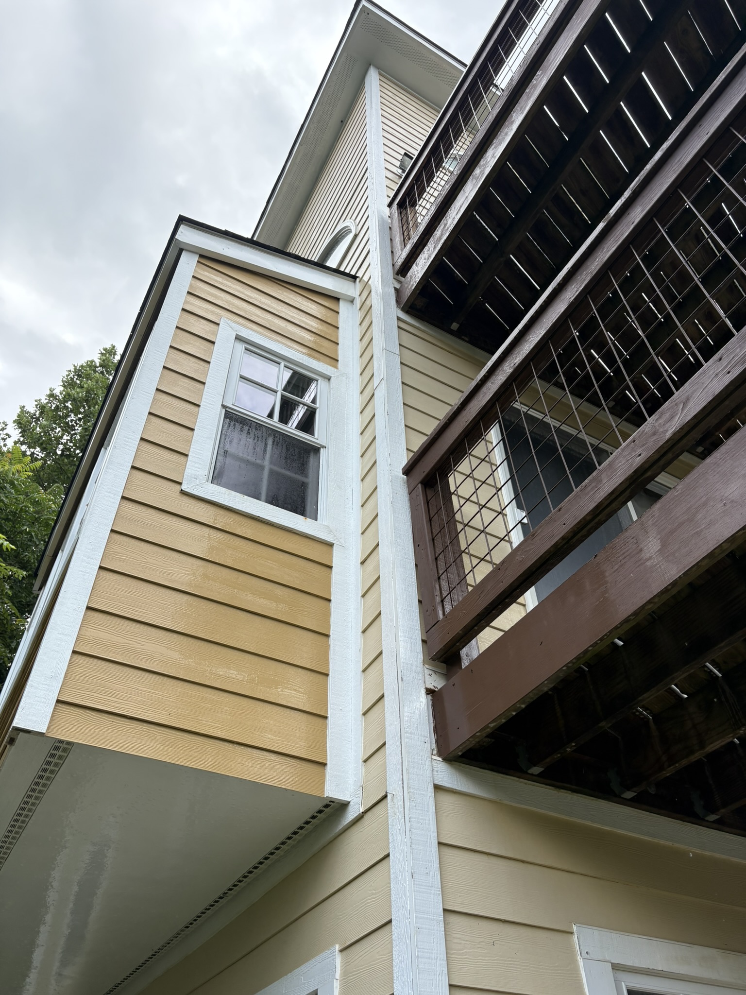 Professional House Washing in Roseland, VA