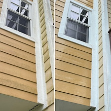 Professional-House-Washing-in-Roseland-VA 0