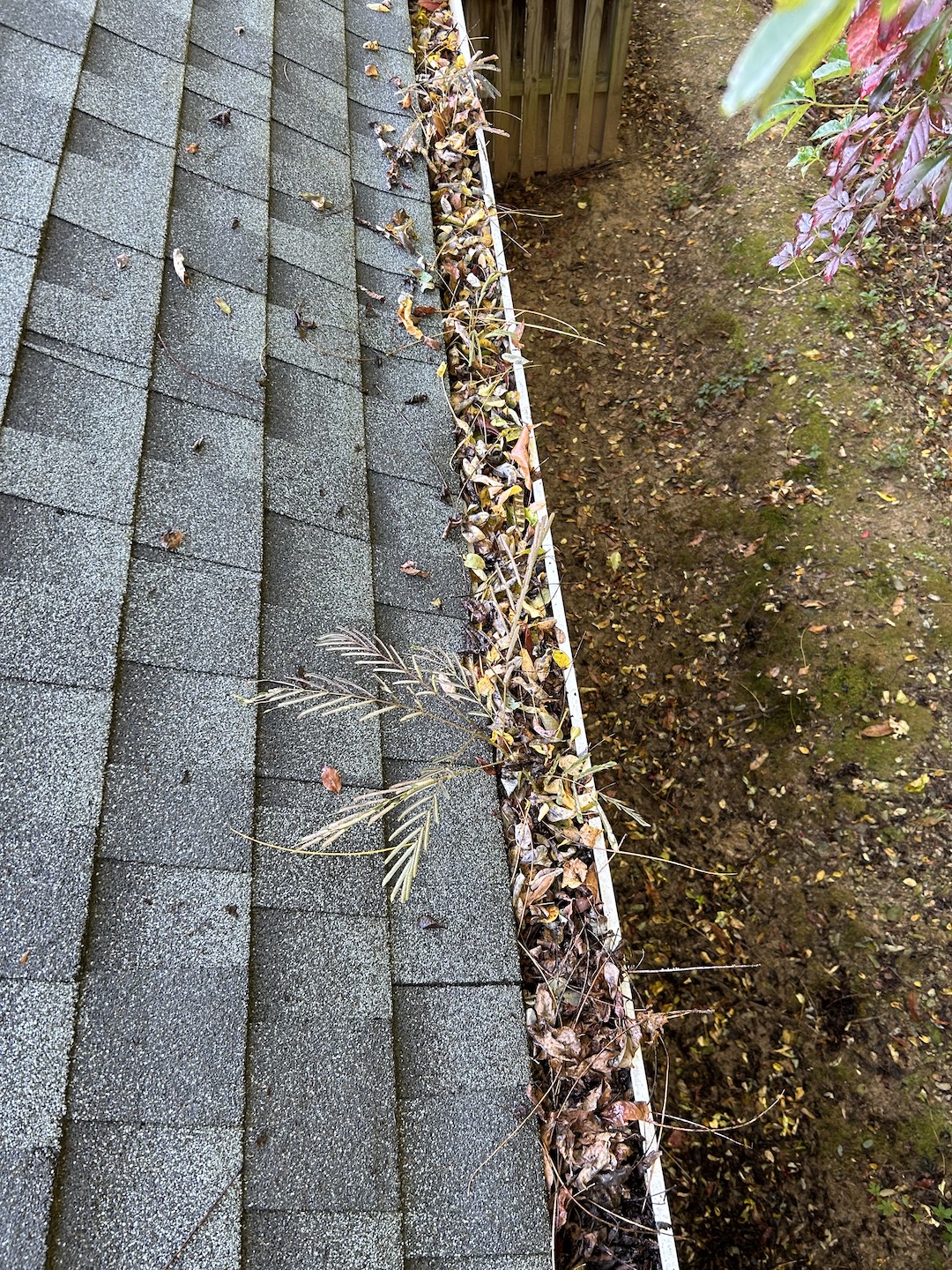 Quality Gutter Cleaning in Charlottesville, VA 1