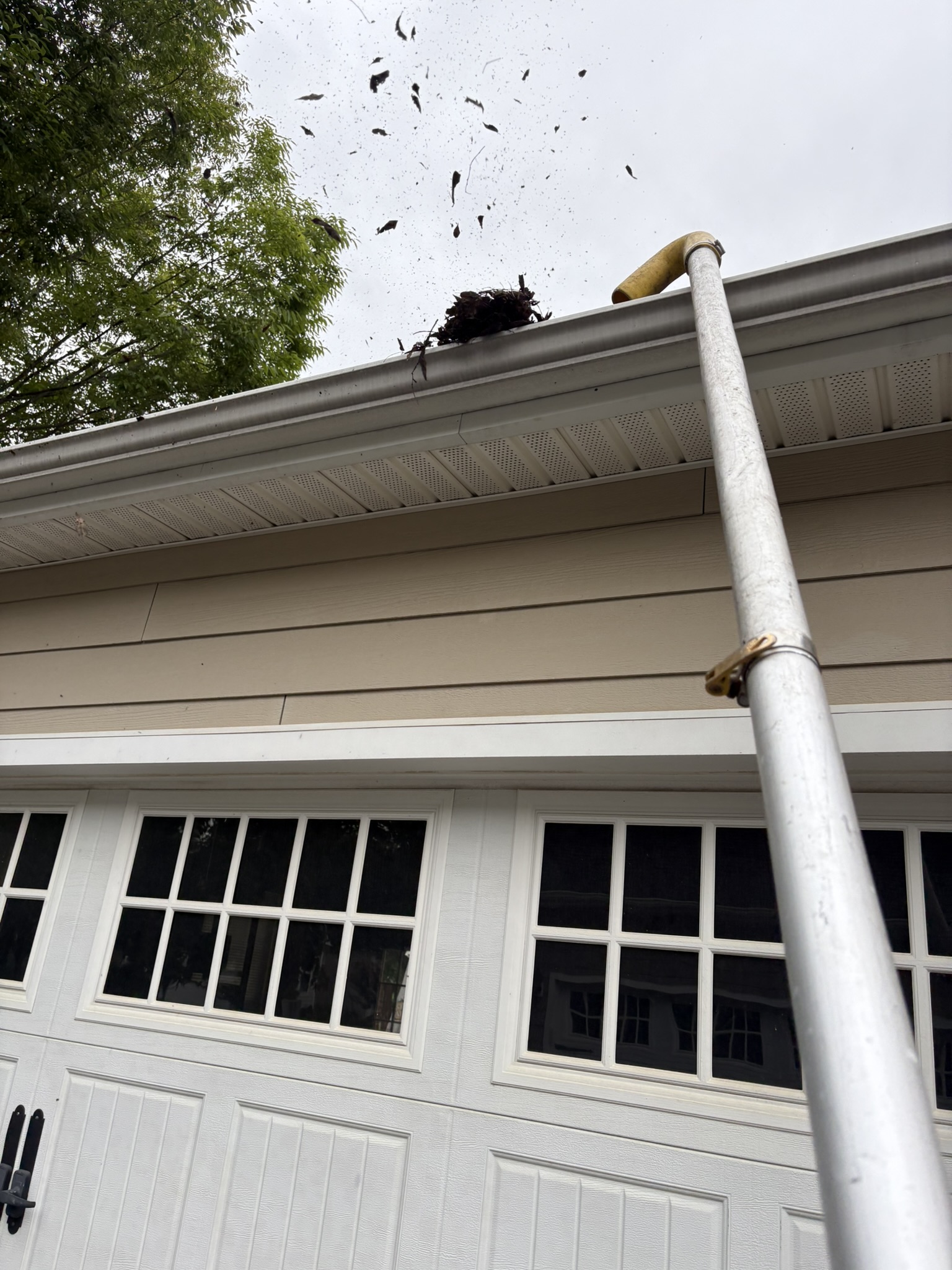 Reliable Gutter Cleaning Services in Charlottesville, VA 1