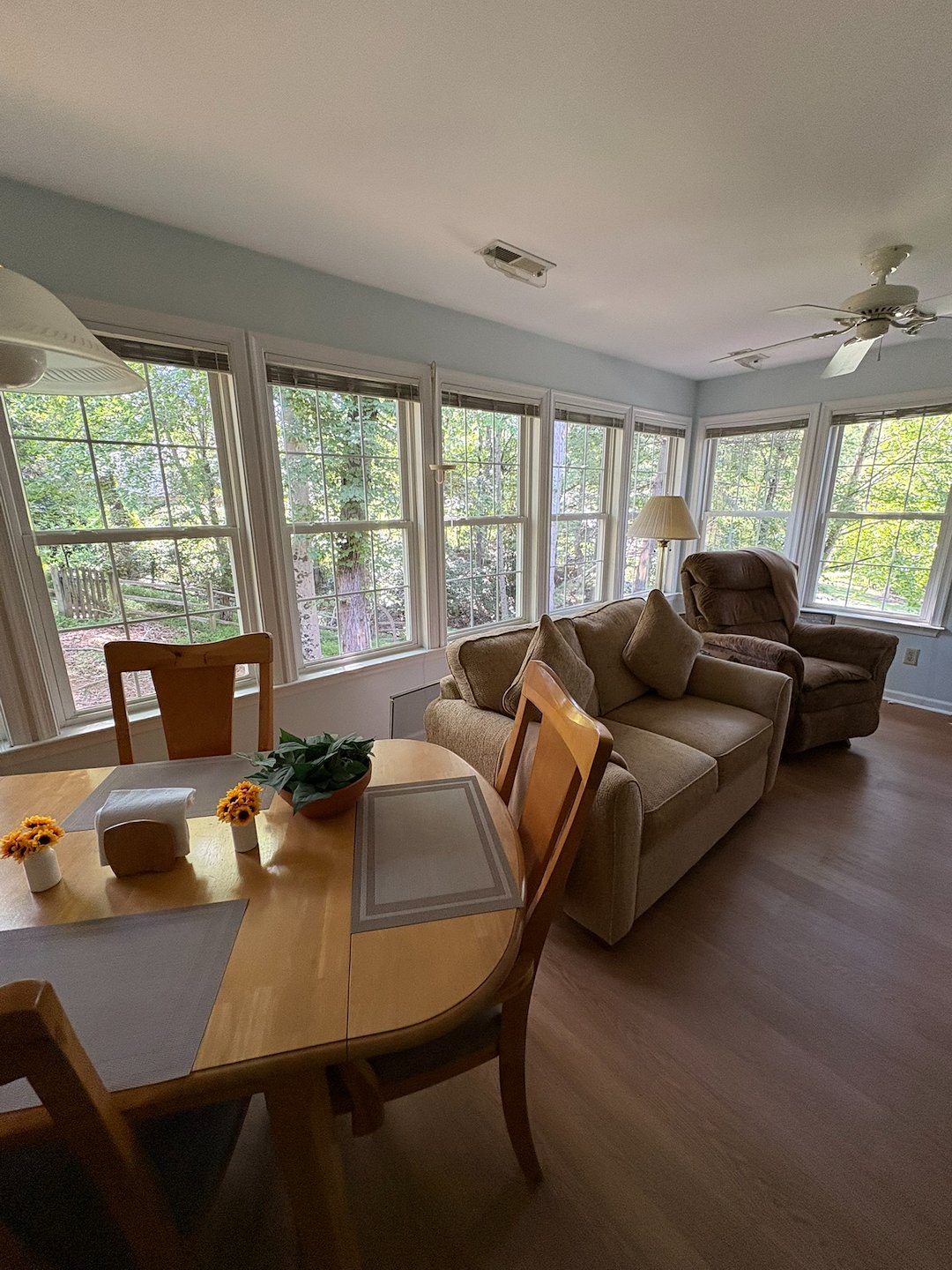 Stang’s Softwash Provides Expert Window Cleaning in Charlottesville, VA – Crystal Clear Results