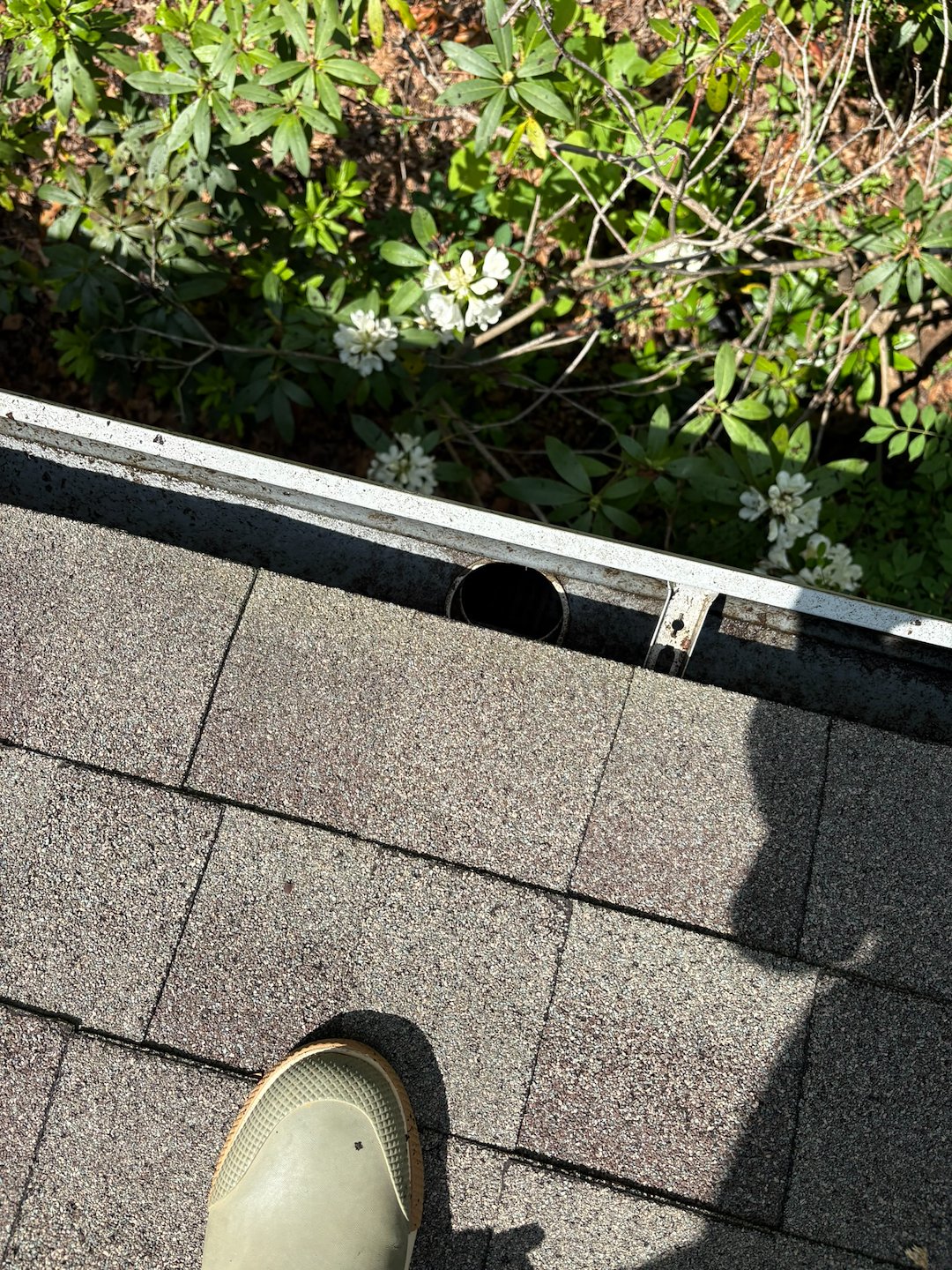 Stang’s Softwash Provides Expert Gutter Cleaning in Nellysford, VA – Another Happy Homeowner
