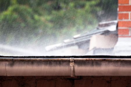 Gutter cleaning in Earlysville VA